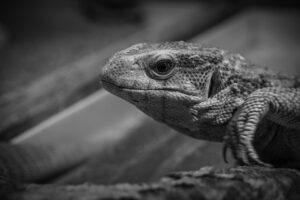 パートタイムで育児と両立するための成功法則は？