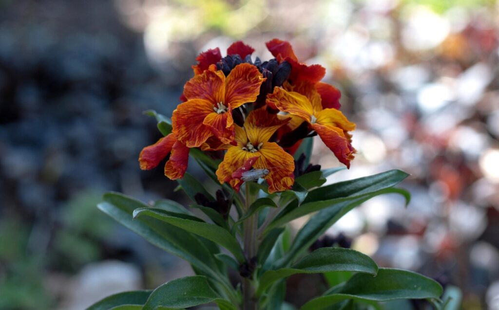 2歳でオムツが取れない場合はどうする？