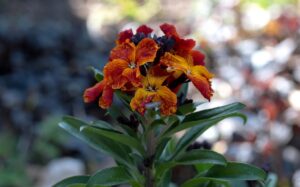 2歳でオムツが取れない場合はどうする？