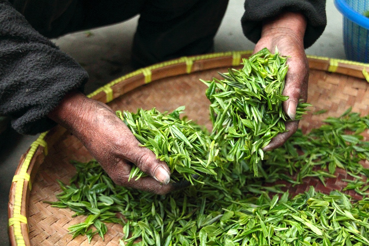 ママがリラックスするためのお茶の効果とは？