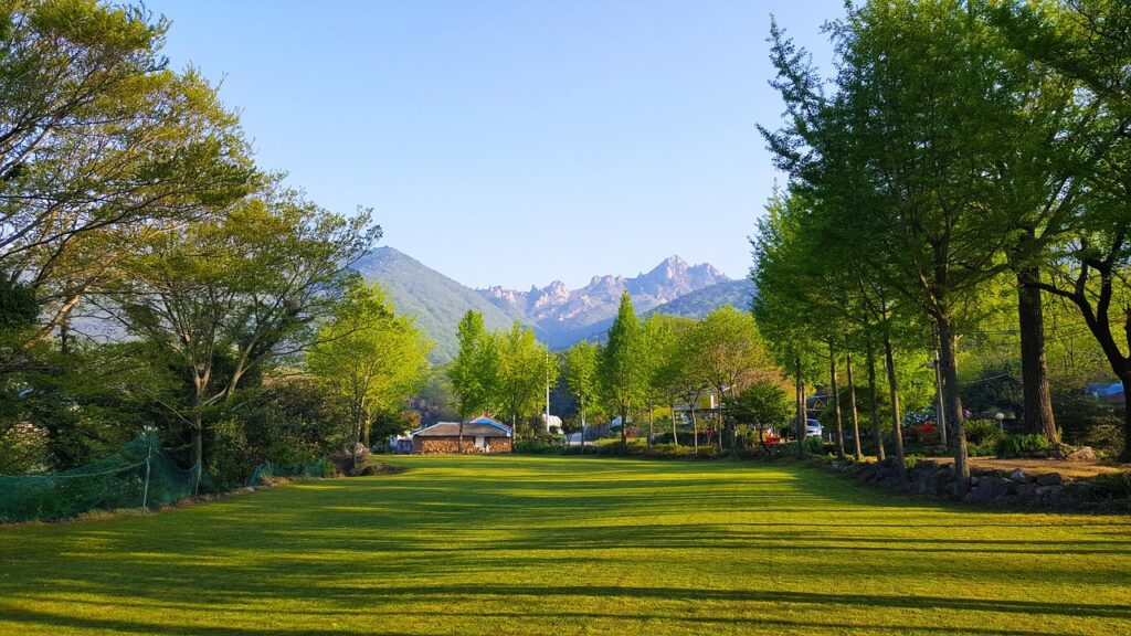 人見知りは何ヶ月から始まるのか？