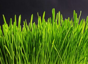 母乳が出なくなった時の対処法は？