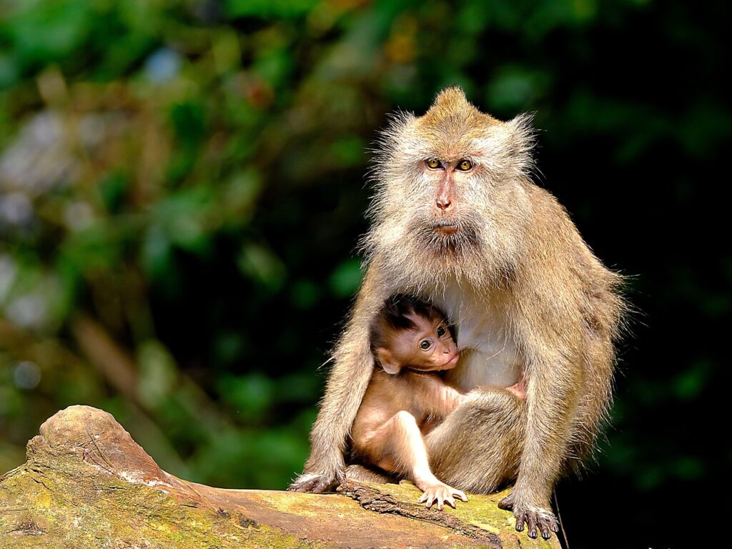 育児休業給付の申請手続きで知っておくべきポイントは？