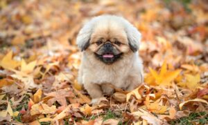 育休明けに感じる不安を解消する方法は？