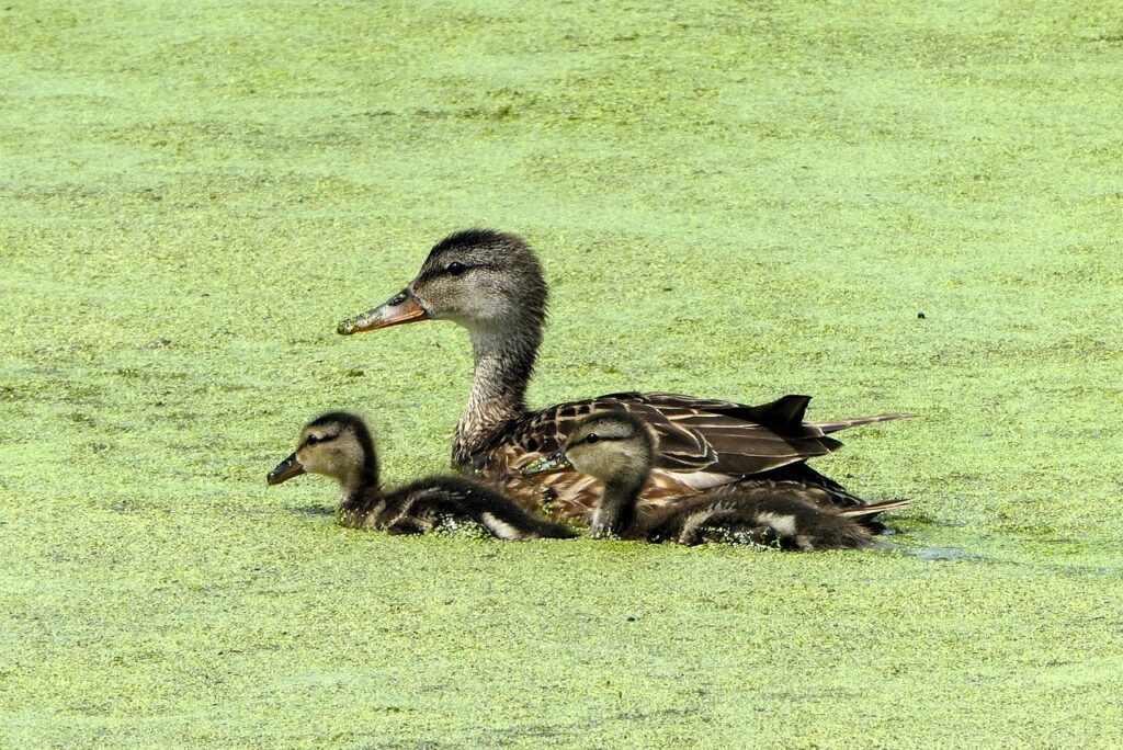 産後の育児に関する不安を相談できる場所はどこ？