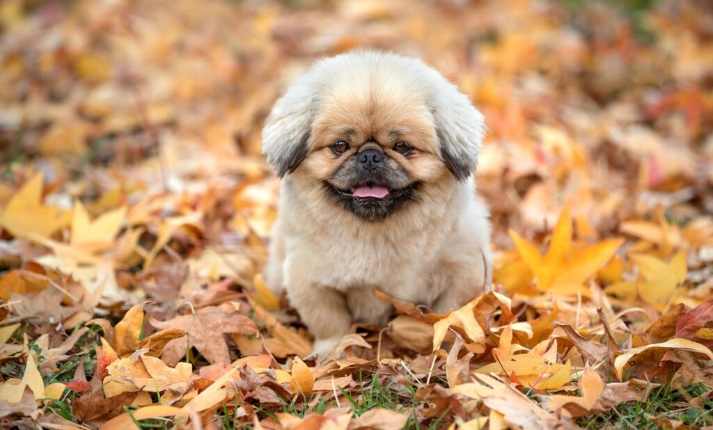 ママが心が限界を感じるサインとは？